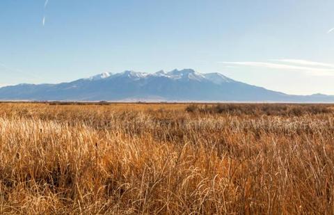 1/4 acre Blanca Colorado