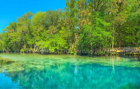 Homosassa, Florida - Res Lot - Mobile Homes Allowed - Near Homosassa Springs!