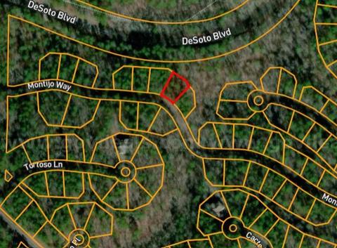 0.25 Acre Lot Arkansas (Saline County)