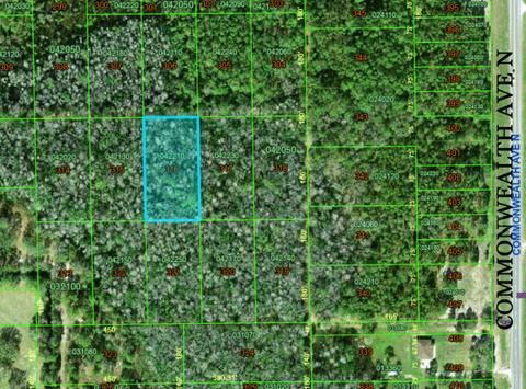 Polk City, Florida - 1.19 Acre Near Orlando!