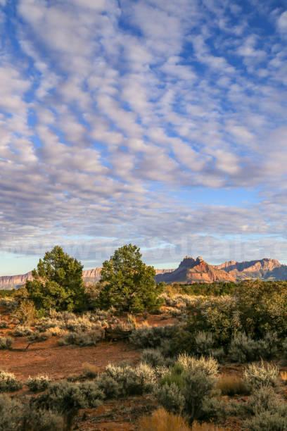 1 Acre Southern Utah