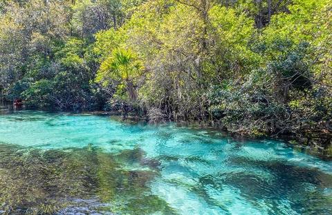 Weeki Wachee, Florida - Res Lot Near Weeki Wachee Springs!