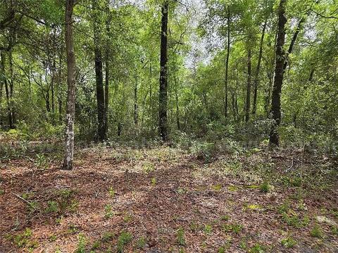 Chiefland, FL - Two Adjoining Res Lots, 30 Mins to Cedar Key!!!