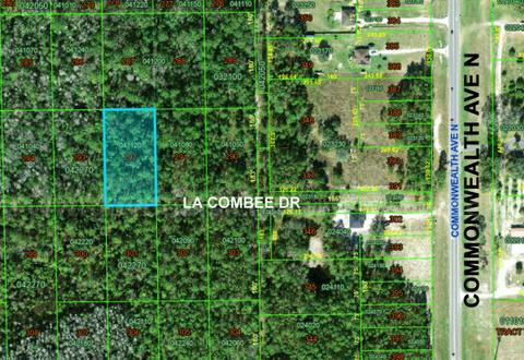 Polk City, Florida - 1.2 Acre Near Orlando!