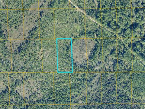Deland, Florida - 1.39 Acres with Easement
