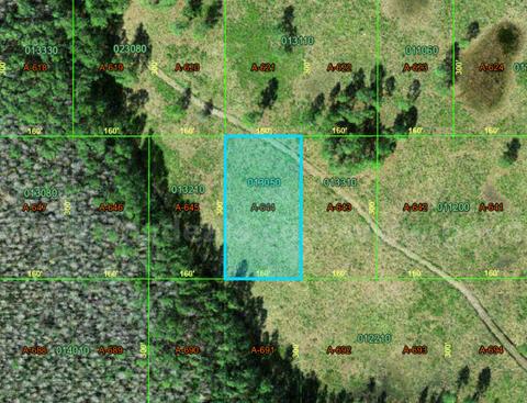 Polk City, Florida - 1.1 Acre With Easement!