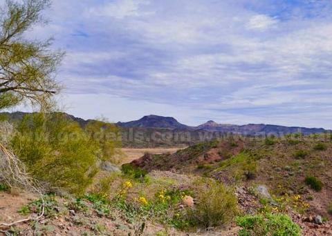 20 Beautiful Texas Acres