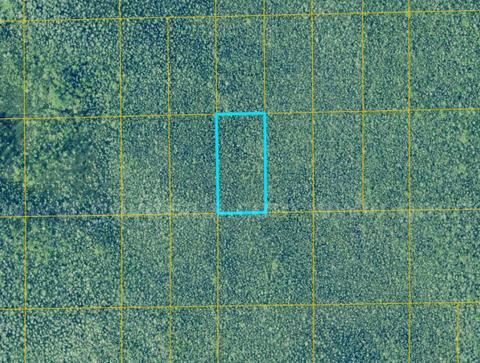 Deland, Florida - 1.25 Acres with Easement