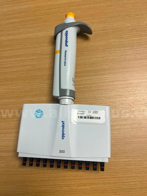 Eppendorf Multichannel Pipette; 300uL; 12 Well