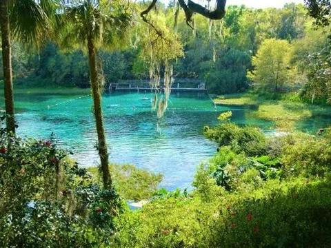 Homosassa, Florida - Res Lot - Mobile Homes Allowed - Near Homosassa Springs!