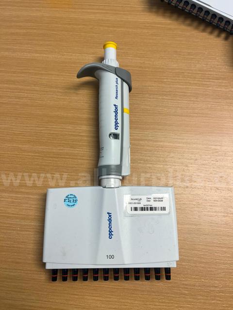 Eppendorf Multichannel Pipette; 100uL; 12 Well