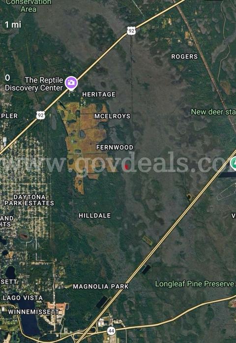 1.25 ACRE Parcel in Deland near I-4 - Central Florida Land, Volusia County, No Reserve!
