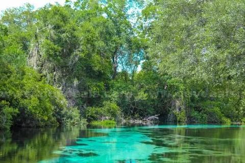 Weeki Wachee, Florida - Two Adjoining Res Lots Near Weeki Wachee Springs!