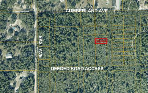 DeLeon Springs, Florida - 2 Adjoining Res Lots in Volusia County