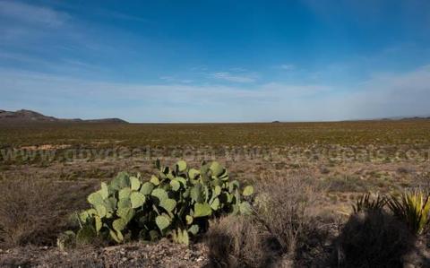 10 Acres in West Texas