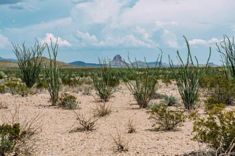10 Acres in Texas