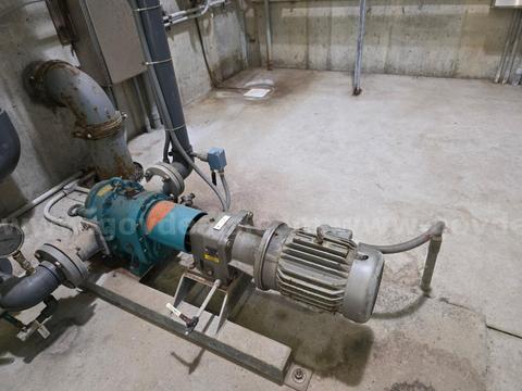 Borger Process Pump PL100