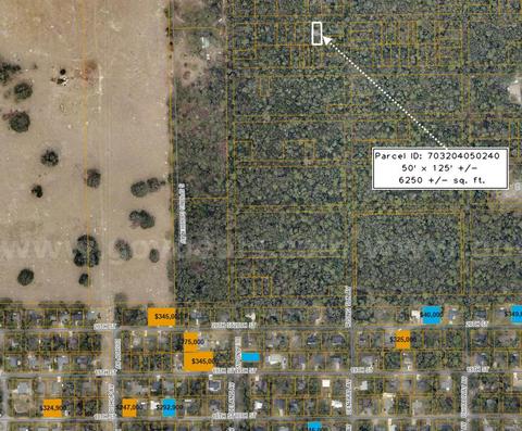 6250 sq. ft. undeveloped parcel near Daytona Beach, Volusia County, Florida