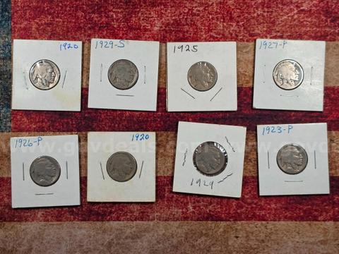 Lot of Buffalo Nickels