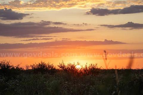 20 Beautiful Texas Acres