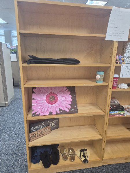 Bookshelves - photo 1