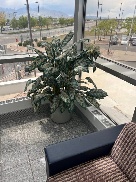 Artificial Plant — photo 1