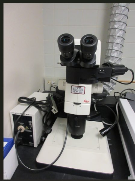 Stereomicroscope - photo 1
