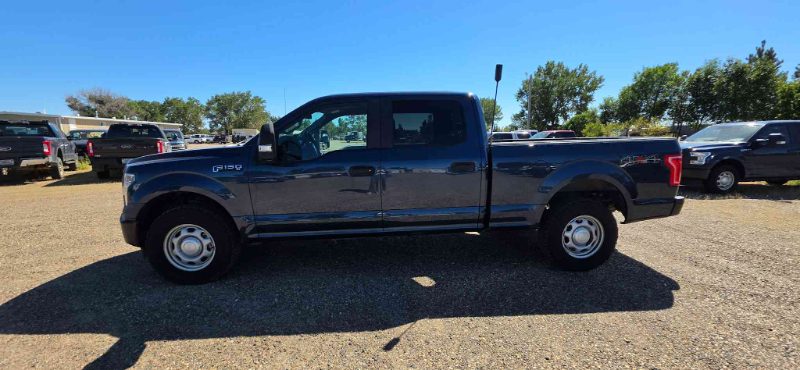 2017 Ford F-150 - photo 1