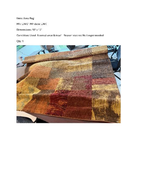 AREA RUG-10x12ft — photo 1