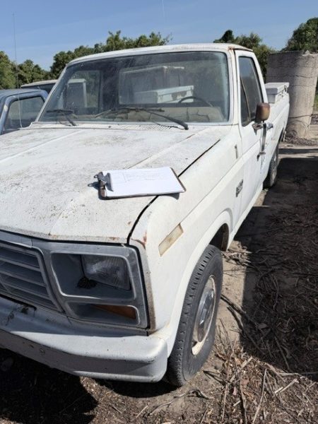 1985 Ford F-250 — photo 1