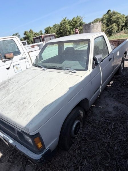 1993 Chevrolet S10 Pickup — photo 1