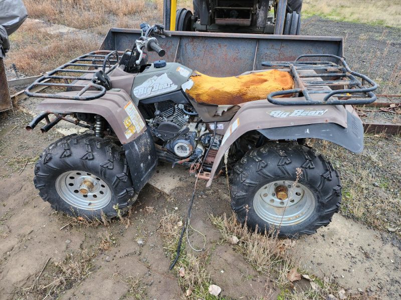 Yamaha ATV (SALVAGE) - photo 1