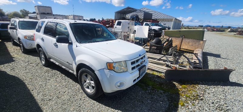 2010 Ford Escape Hybrid - photo 1