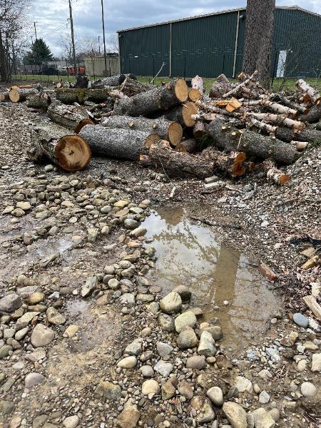 Assorted Timber