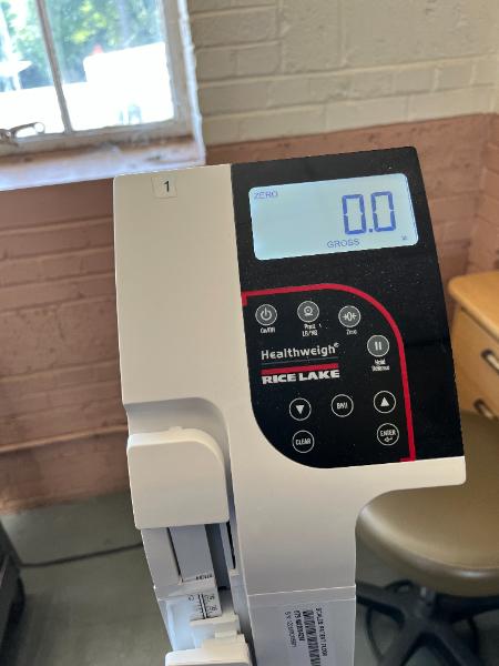 Patient Scales