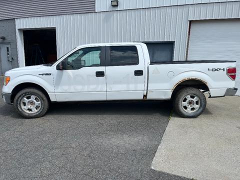 2010 Ford F-150 4WD CREW CAB 4 DR