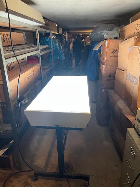 (2) Multiplex Slide Viewing Tables