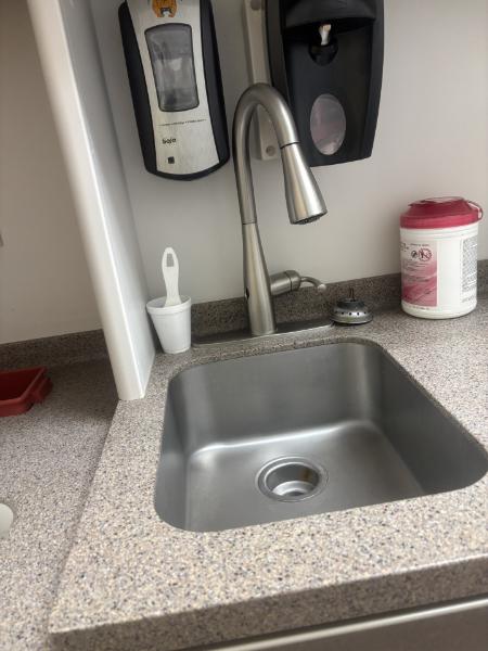 Sink and Faucet