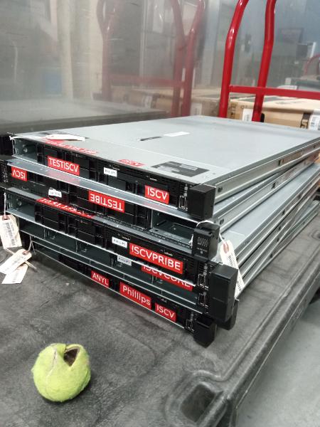 NETWORK SERVERS