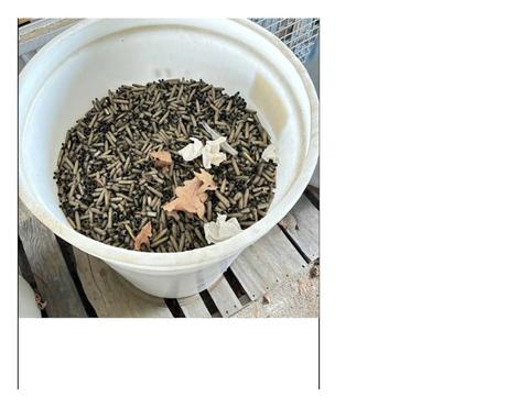SCRAP EXPENDED BRASS SHELL CASINGS