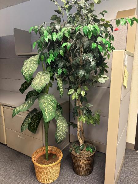 Artificial Plants