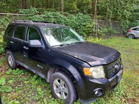 2009 Ford Escape