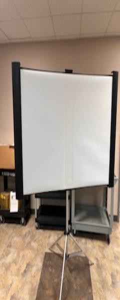 Projector screen & Speakers