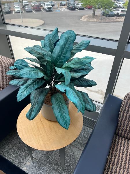 Large Artificial Plant