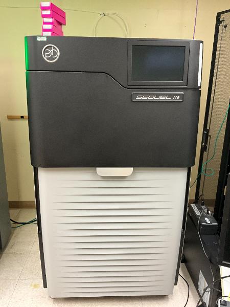 PacBio Sequel IIe  Sequencer