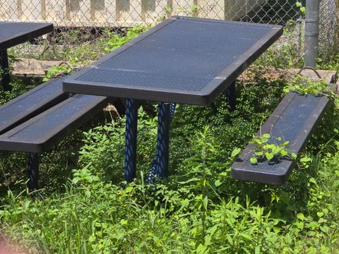 13 Picnic Tables