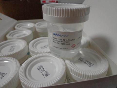 2 Cases of 10 Neutral Buffered Formalin