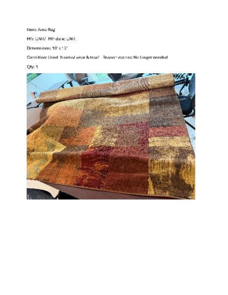 AREA RUG-10x12ft