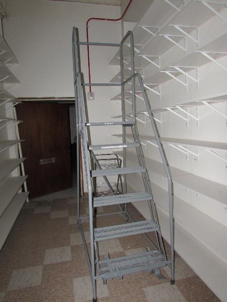 Narrow Aisle Ladder