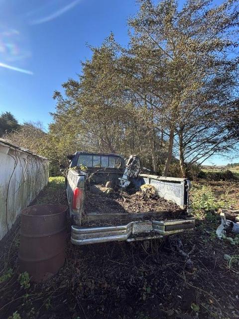 1989 Ford F-250